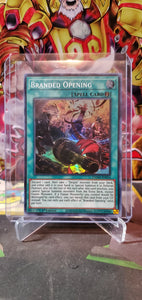 Branded Opening - (1st Ed)