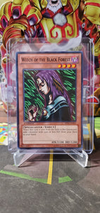 Witch of the Black Forest - (1st ed)