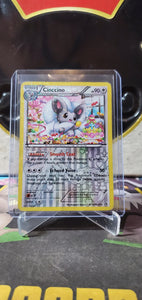 Cinccino - (RC19/RC25)