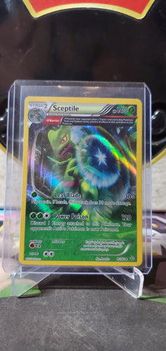 Sceptile - (9/160) (Holo Rare)