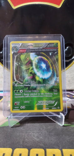 Sceptile - (9/160) (Reverse Rare)