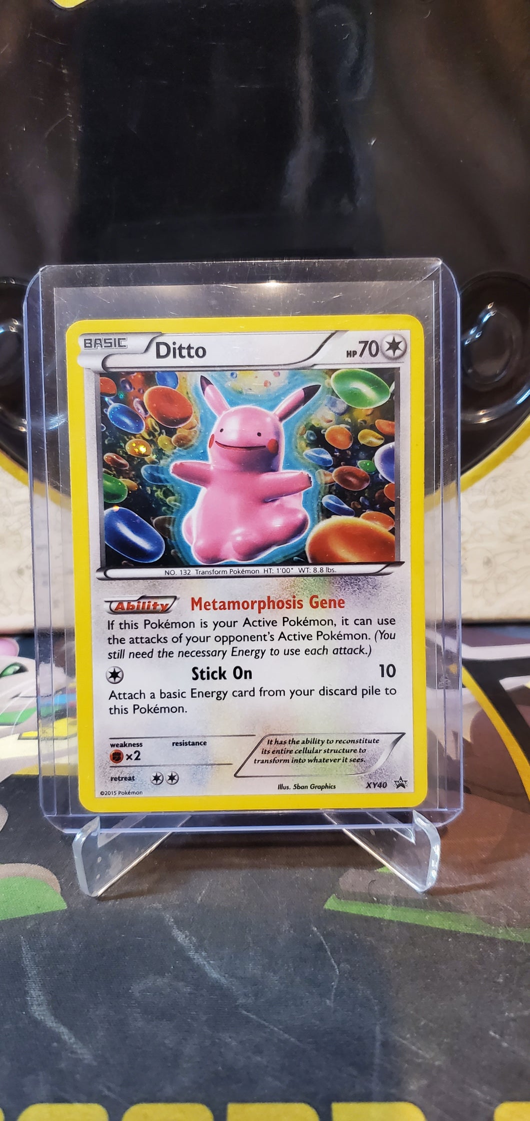 Ditto - (XY40) (PR)