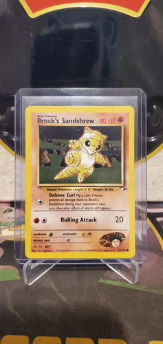 Brock's Sandshrew - (71/132)