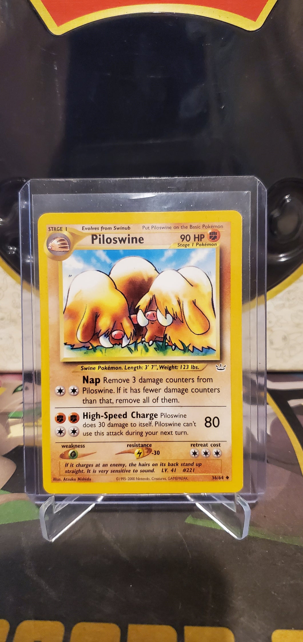 Piloswine - (36/64) (N3)