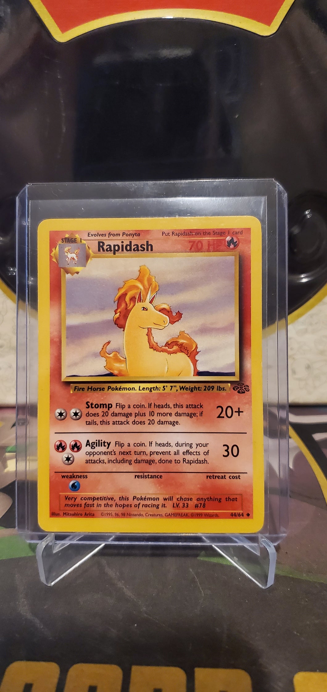 Rapidash - (44/64) (JU)