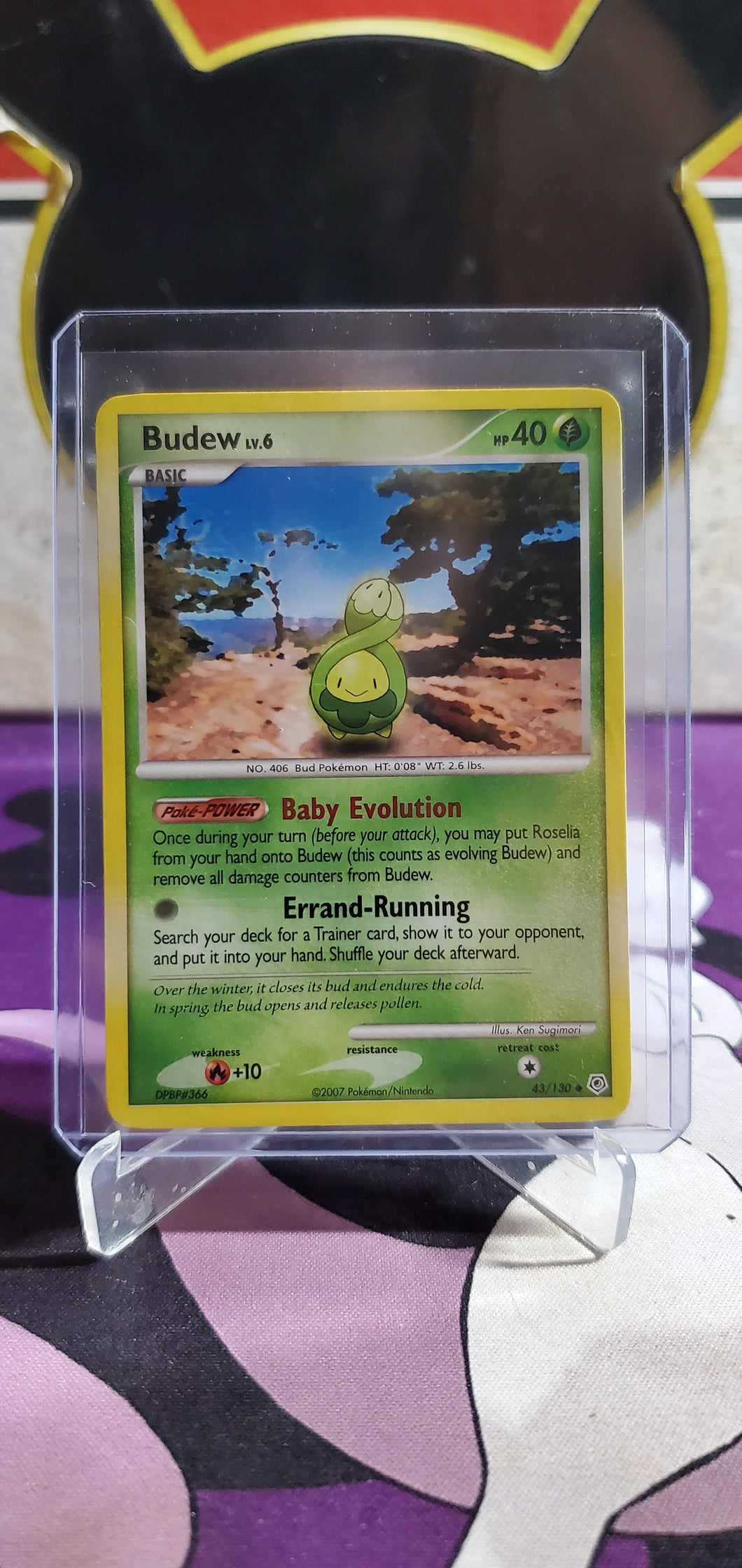 Budew - (43/130) (DP)