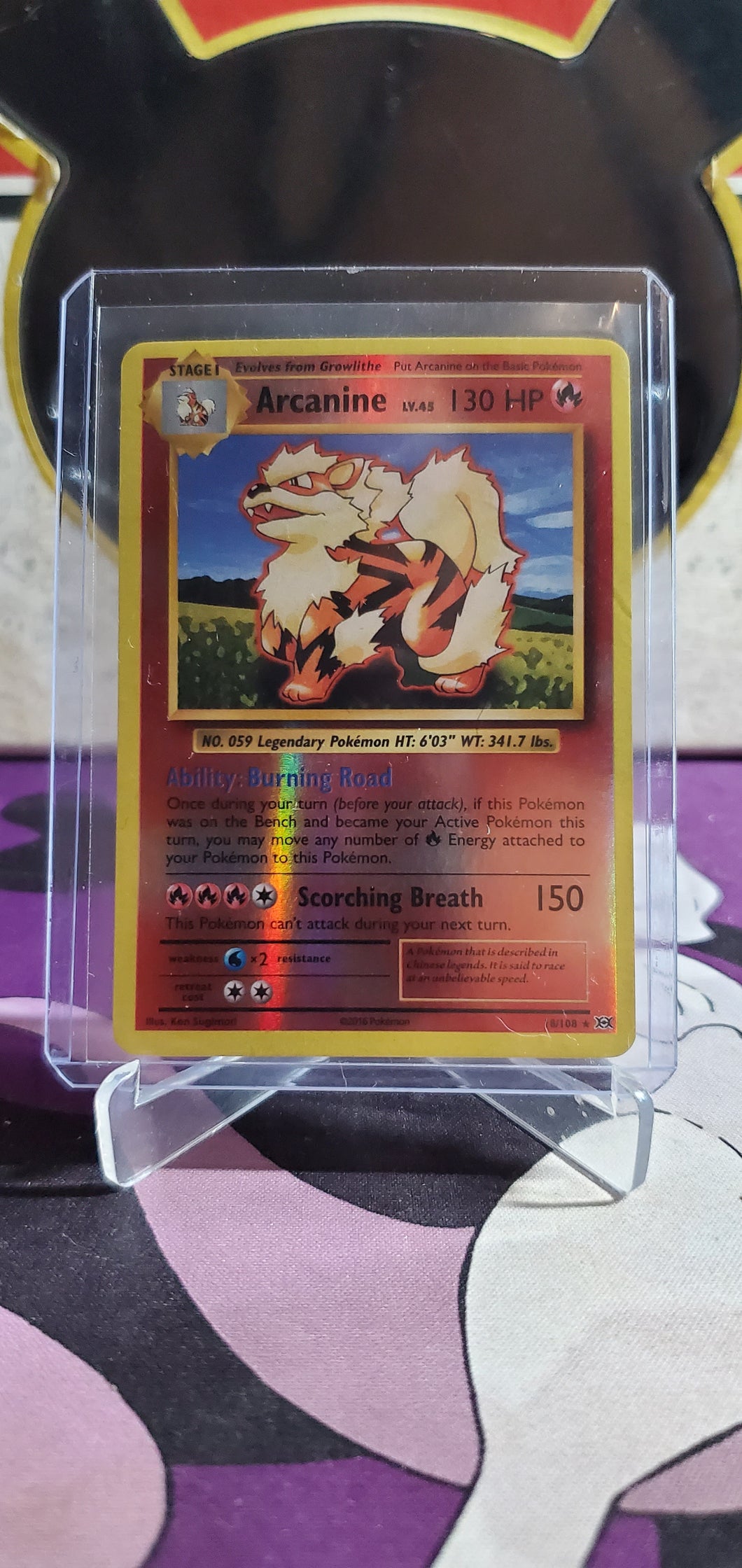 Arcanine - (18/108)