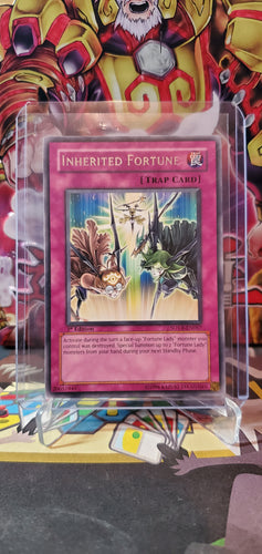 Inherited Fortune (1st Ed)