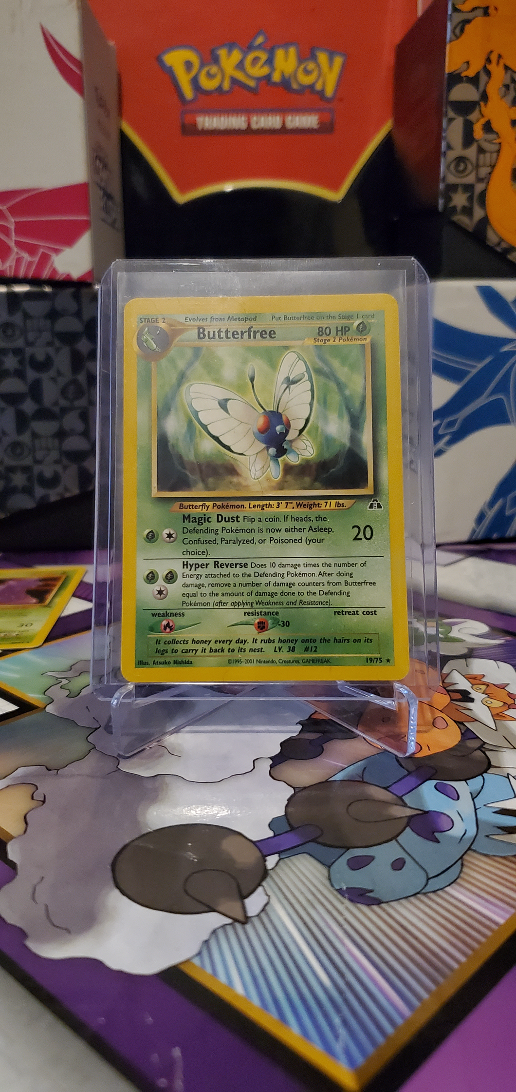 Butterfree (19/75)