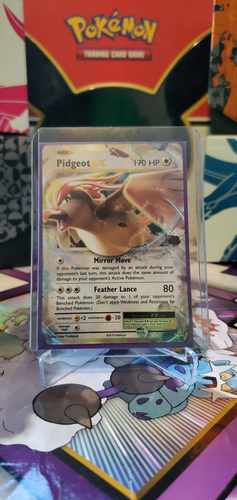 Pidgeot EX - (64/108)